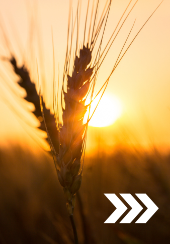 Agriculture