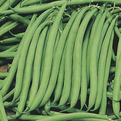 Frech Beans