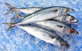 OceanHarvest Fresh Fish Naturally Fresh and Flavorful