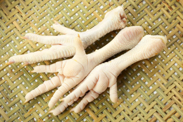 Chicken Paws