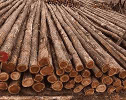 Teak Round Logs