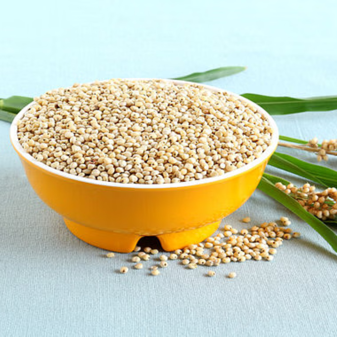 Sorghum