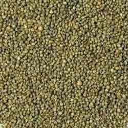 Millet