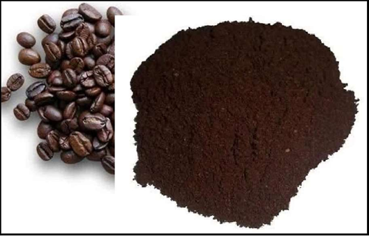 Premium Coffee Powder Rich and Aromatic