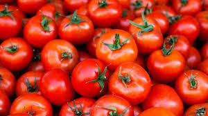 Fresh Tomatoes