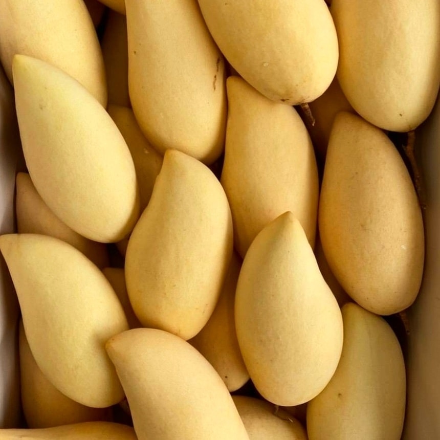 Fresh Mango