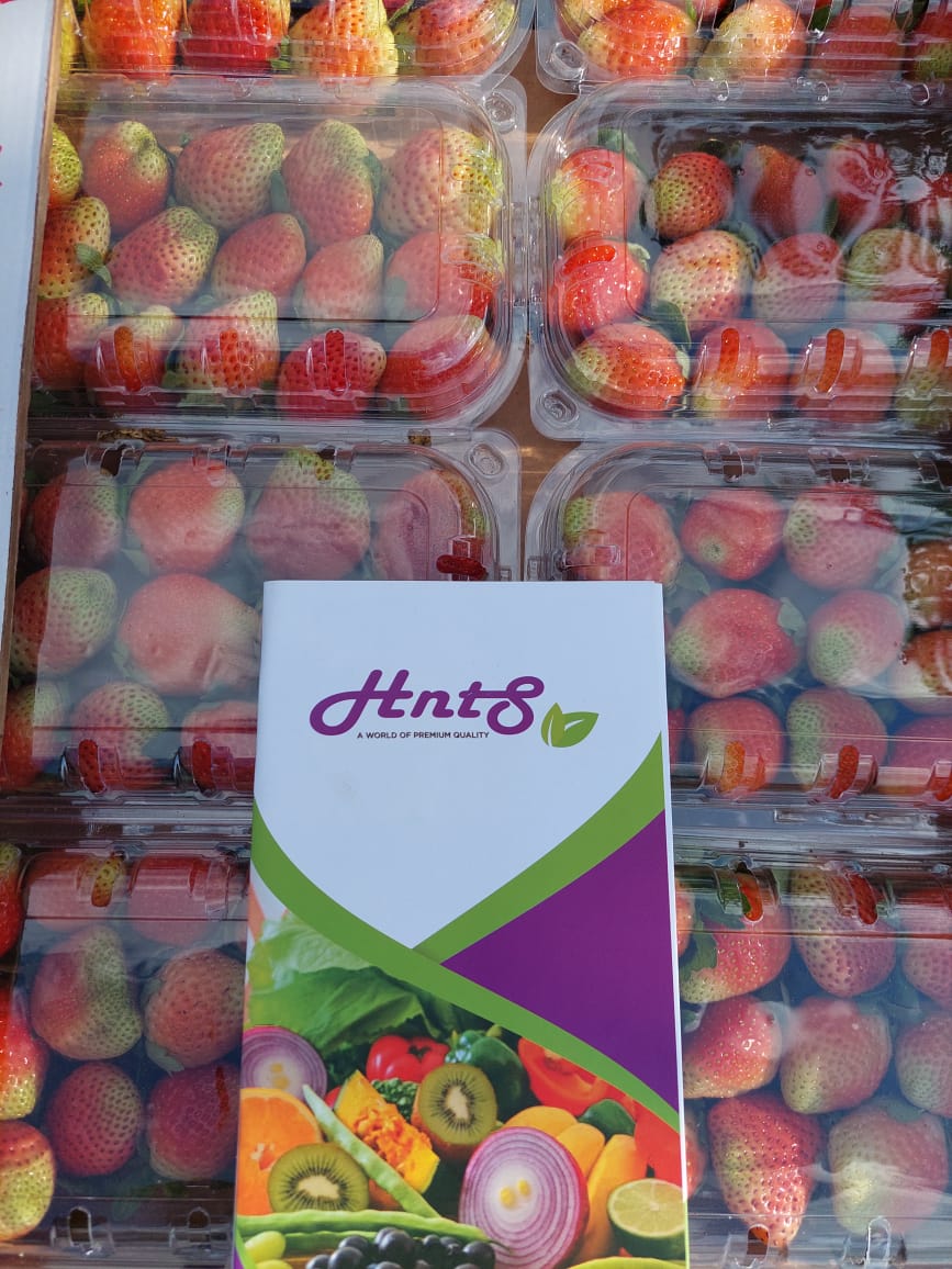 Strawberry 